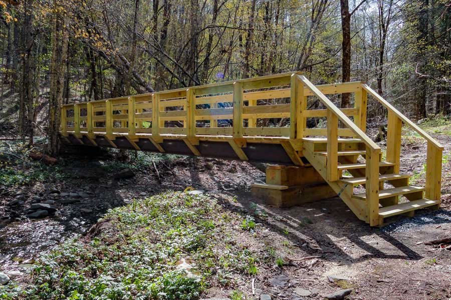 Bridge on Mine Hollow Trail to Balsam Mountain