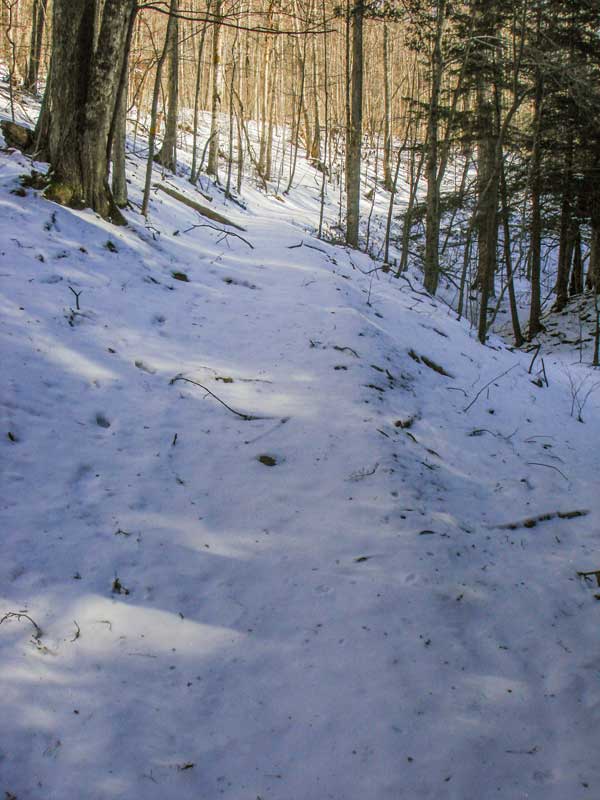 Mine Hollow Trail