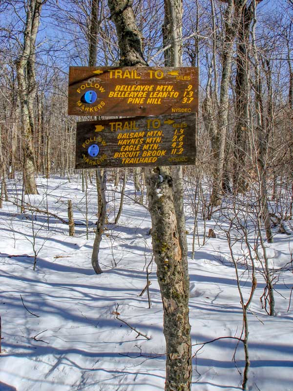 Trail Junction to Belleayre Mountain and Balsam Mountain