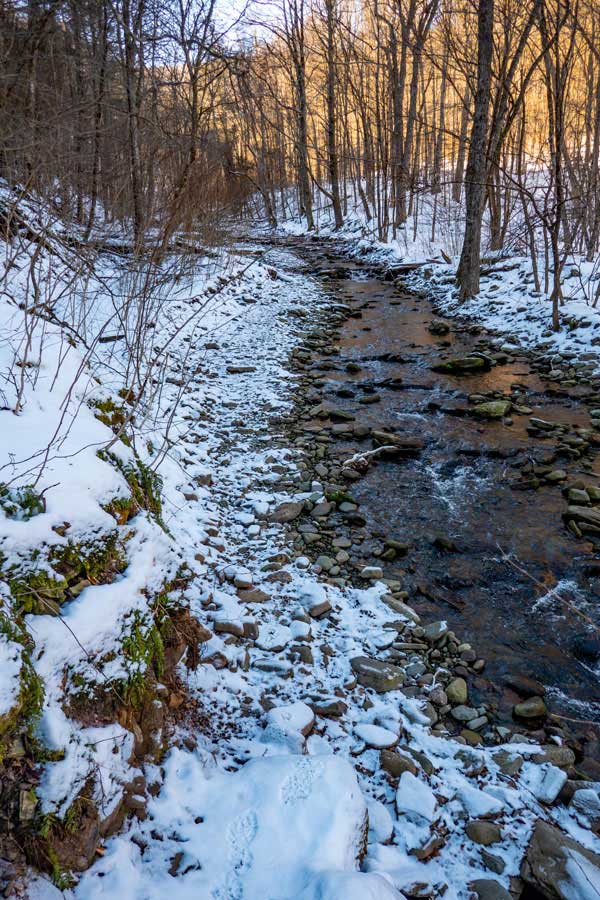 Beginning of the McKenley Hollow by the stream