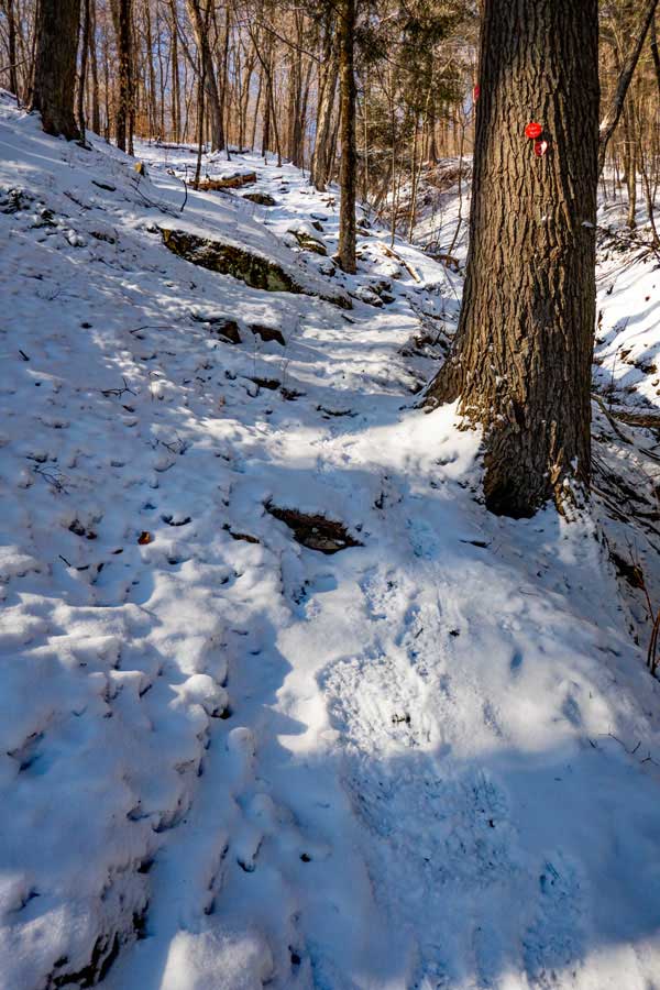 Upper part of the McKenley Hollow Trail in the Big Indian Wilderness