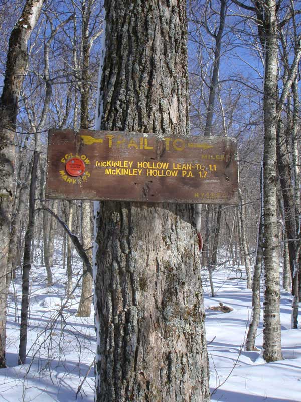sign on the pass for Balsam Mountain and Haynes and Eagle Mountain on the west branch of the Pine Hill Trail