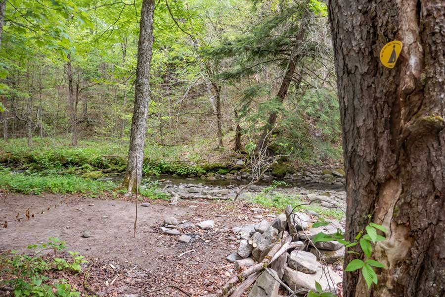 campsite #3 next to Tunis Pond about 150 feet off the Neversink-Hardenburgh Trail