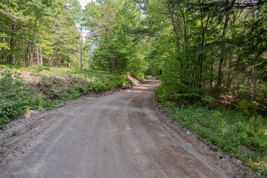 Beaver Kill Road between Balsam Lake Mountain parking area and the Hardenburgh parking area