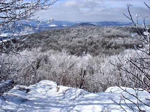 northwest summit of vly and bearpen mountain