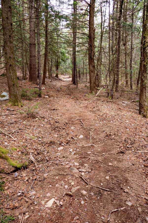 Huckleberry Bike Park