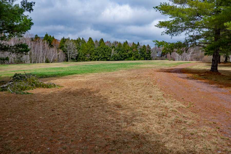 Sports Field in Huckleberry Bike Park