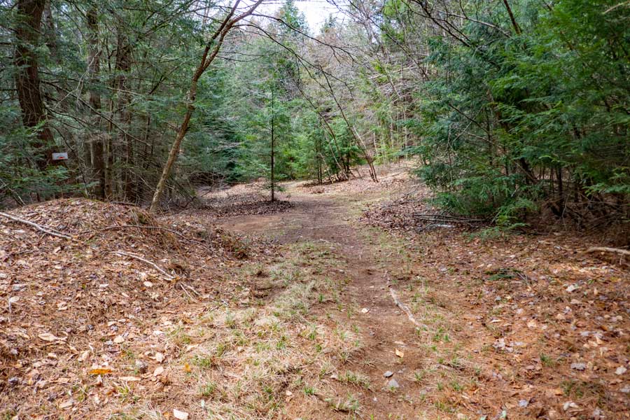 access trail on the lower section of the Huckleberry Bike Park from Driving Range Access Road