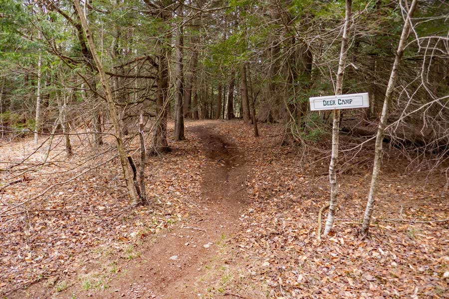 The Deer Camp Trail in the Huckleberry Bike Park
