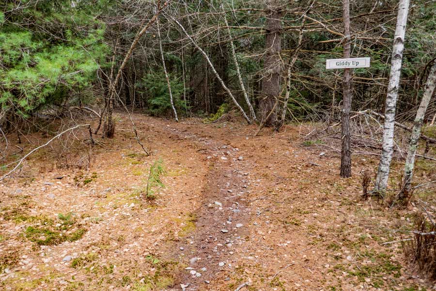 Giddy Up Trail in the Huckleberry Bike Park