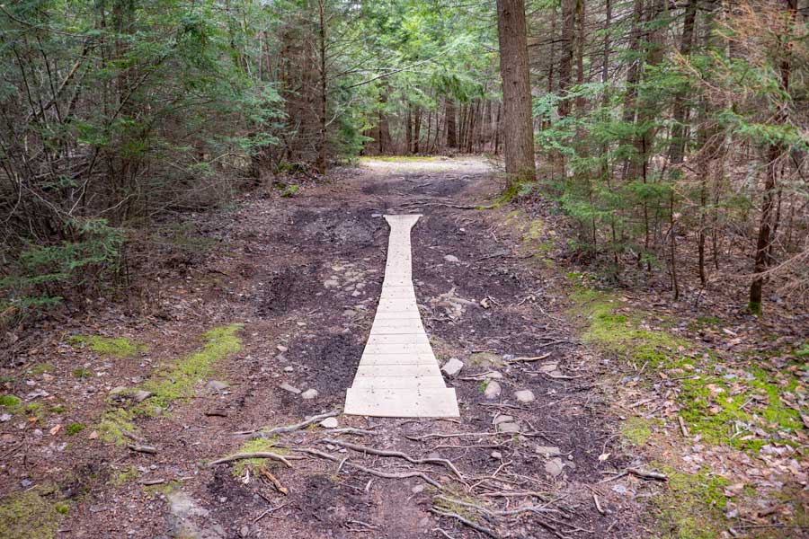 access trail to the Tannersville Bike Park  