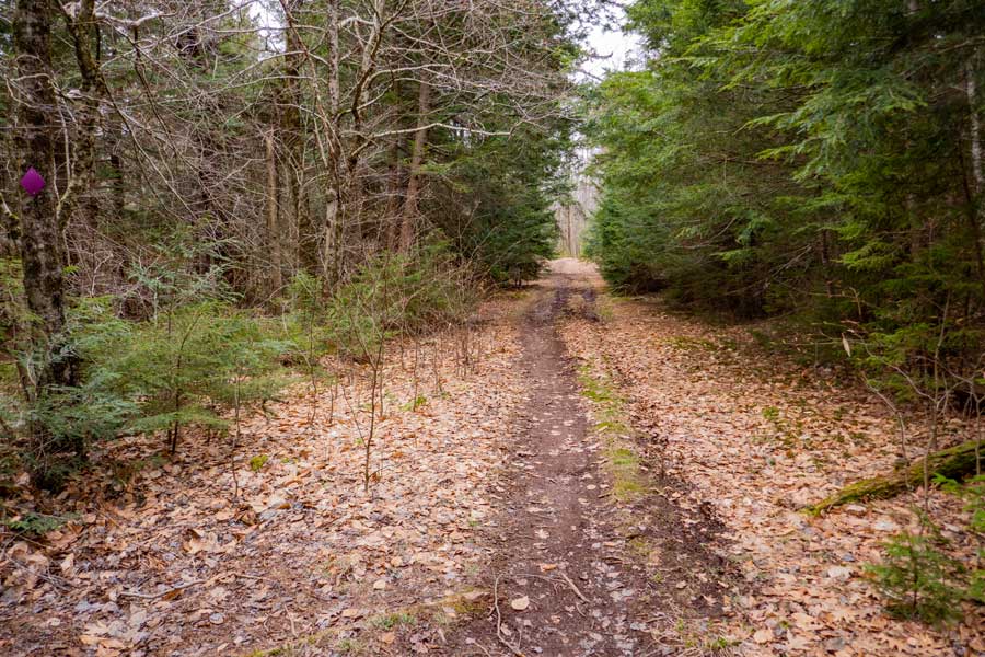 beginning section of the Hathaway Trail   