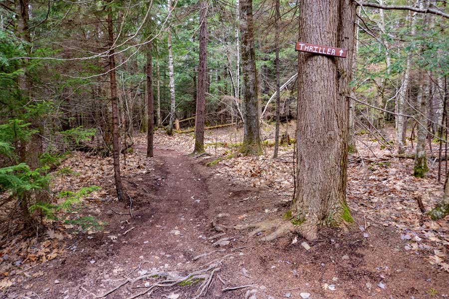 trailhead for the Thriller Traill in the Tannersville Bike Park