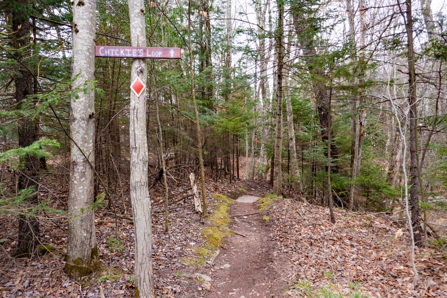 trailhead for Chickie's Loop Trail in the Tannersville Bike Park