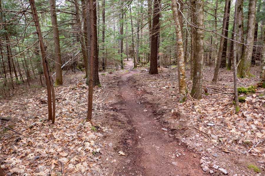 beginning section of Chickie's Loop in the Tannersville Bike Park