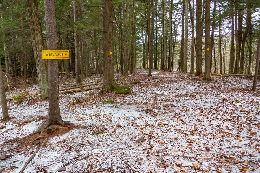 trailhead for the Wetlands Trail at the bottom of the Tannersville Bike Park 