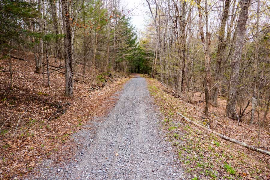 Almost at the end of the eastern section of the Tannerville Rail Trail