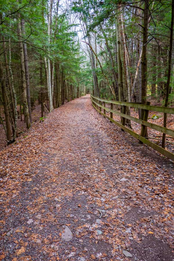 western portion of the Tannerville Rail Trail