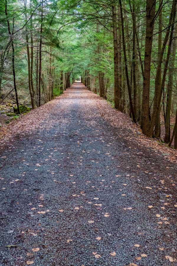 Tannerville Rail Trail