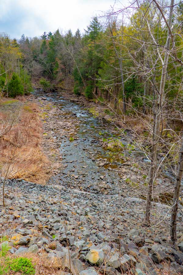overview of the Gooseberry Creek along the Tannerville Rail Trail