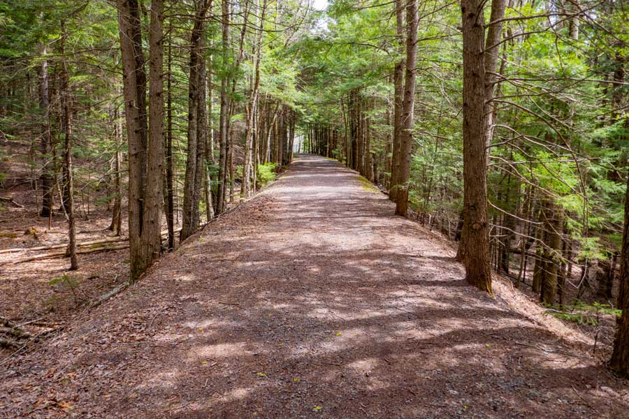 beginning of the final portion of the western section of the Tannerville Rail Trail