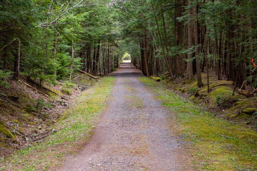 towards the end of the western section of the Tannerville Rail Trail