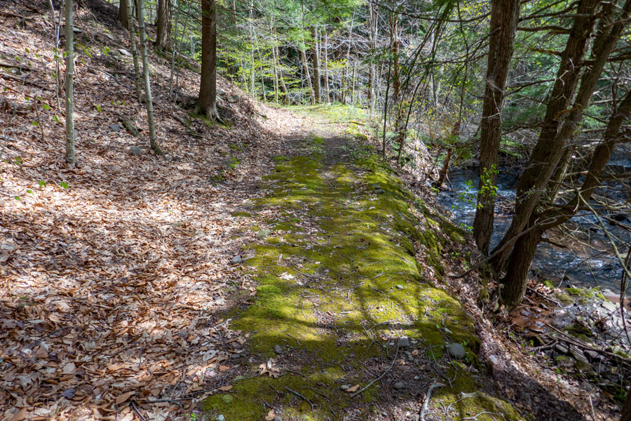 Vinegar Hill Trail next to the Roarback Brook in the Halcott Wild Forest
