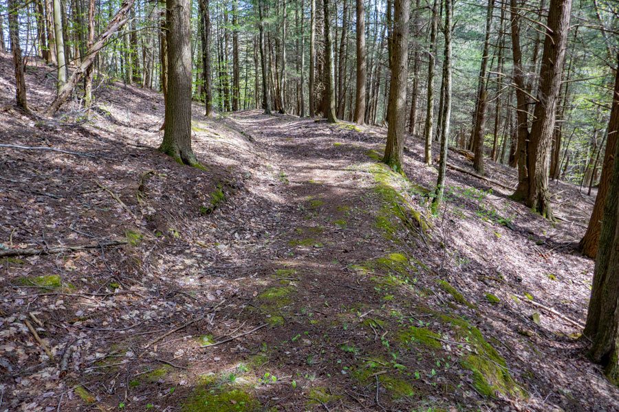 Vinegar Hill Trail above the field near Rt 42 in the Halcott Wild Forest