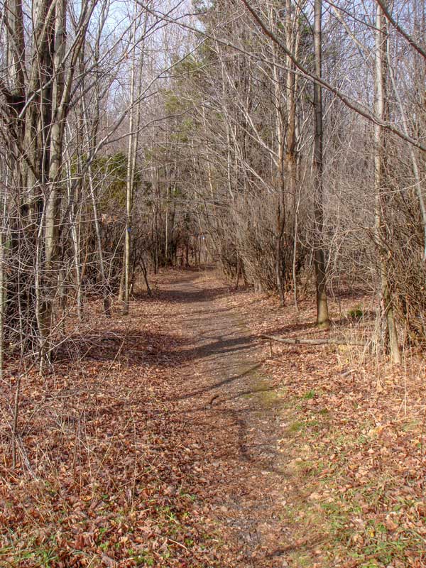 beginning of the Becker Hollow Trail