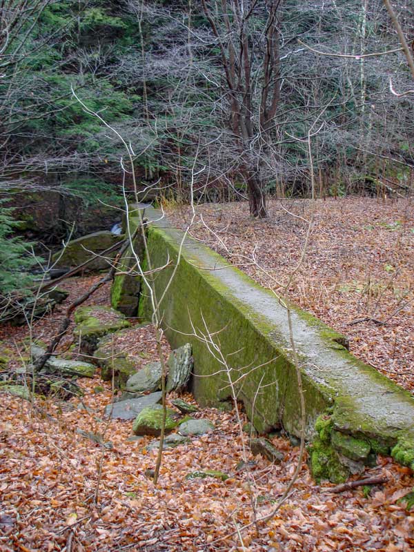 old dam near the beginning of the Becker Hollow Trail