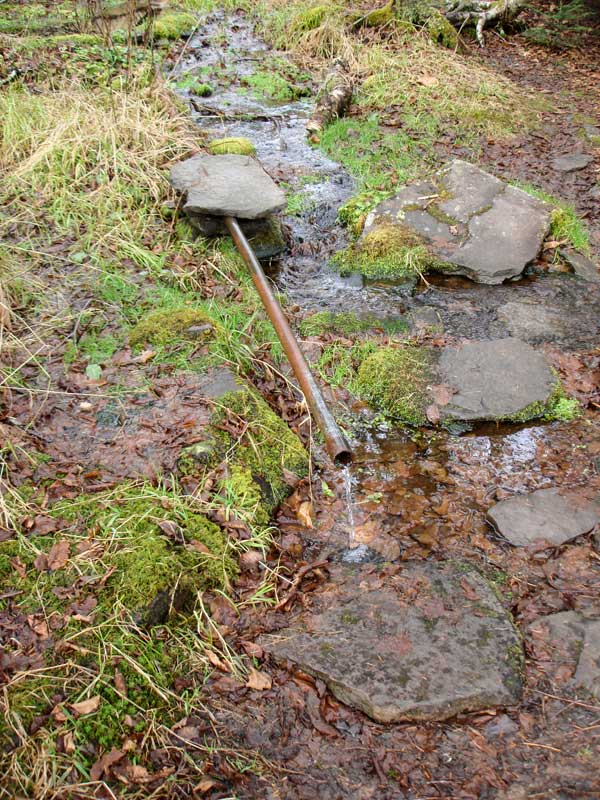 Water Spring pipe on the spur trail to Hunter Mountain Fire Tower and summit