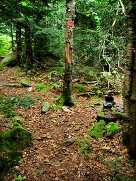 trail junction for the hunter loop trail and Leavitt's Peak southwest hunter