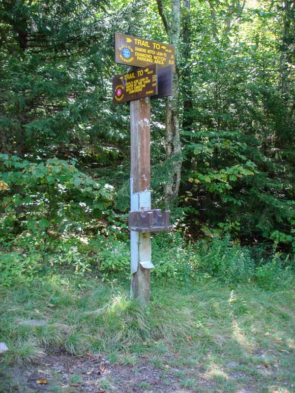 trail junction by West kill falls