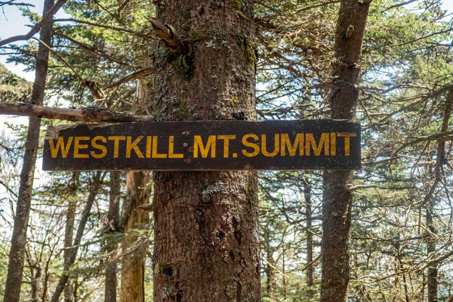 summit of West Kill Mountain