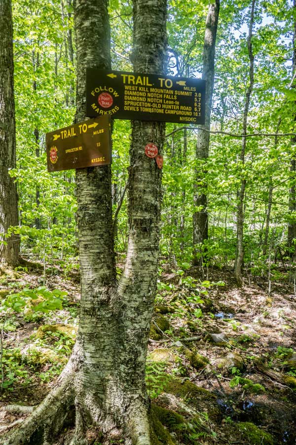 Trail Junction for Mink Hollow, St Anne, and North Dome.