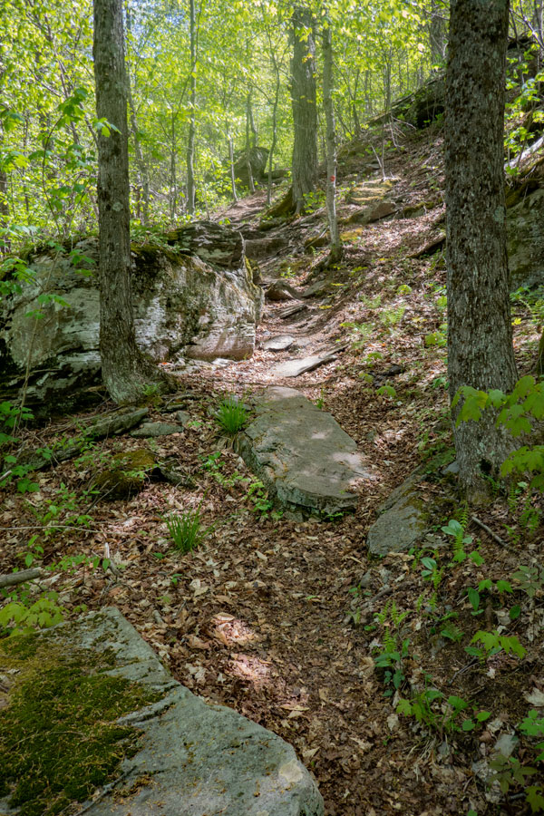 The top of the moderate incline of the base of St Anne Mountain in the Hunter-West Kill Wilderness.