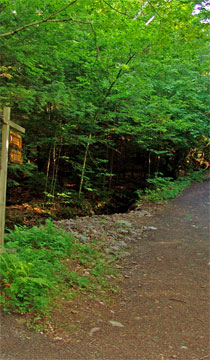 trail to kaaterskill hotel on south mountain