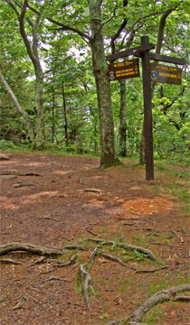 trail junction to boulder rock near North and South Lake
