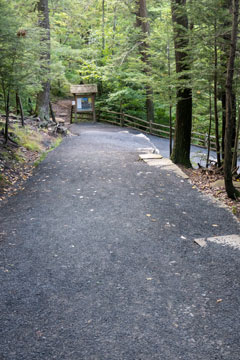 Trail down to kaaterskill falls viewing platform