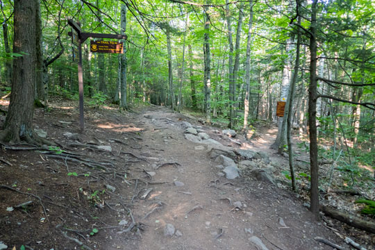 trail junction to the bottom of kaaterskill falls