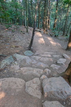 beginning of trail down to the bottom of kaaterskill falls