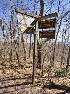 trail junction to southern escarpment and the harding road trail