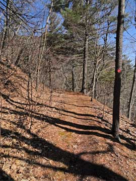 top of the harding road trail