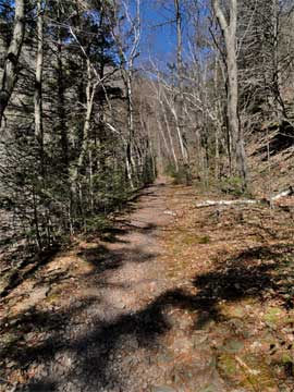 harding road trail below the ravine
