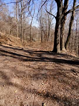 trail to the parking on in palenville