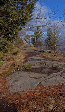 Prospect Rock on the Escarpment Trail