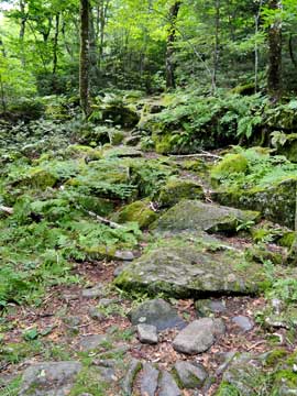 beginning of the eastern escarpment at dutchers notch and colgate carriage road to stoppel point