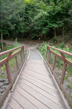 bridge over lake creek and trail junction to the Escarpment Trail