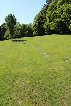 lawn or field to the trails at Winter Clove Inn