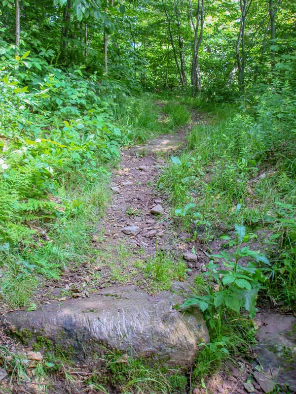 Typical view of the Balsam Lake Mountain Trail